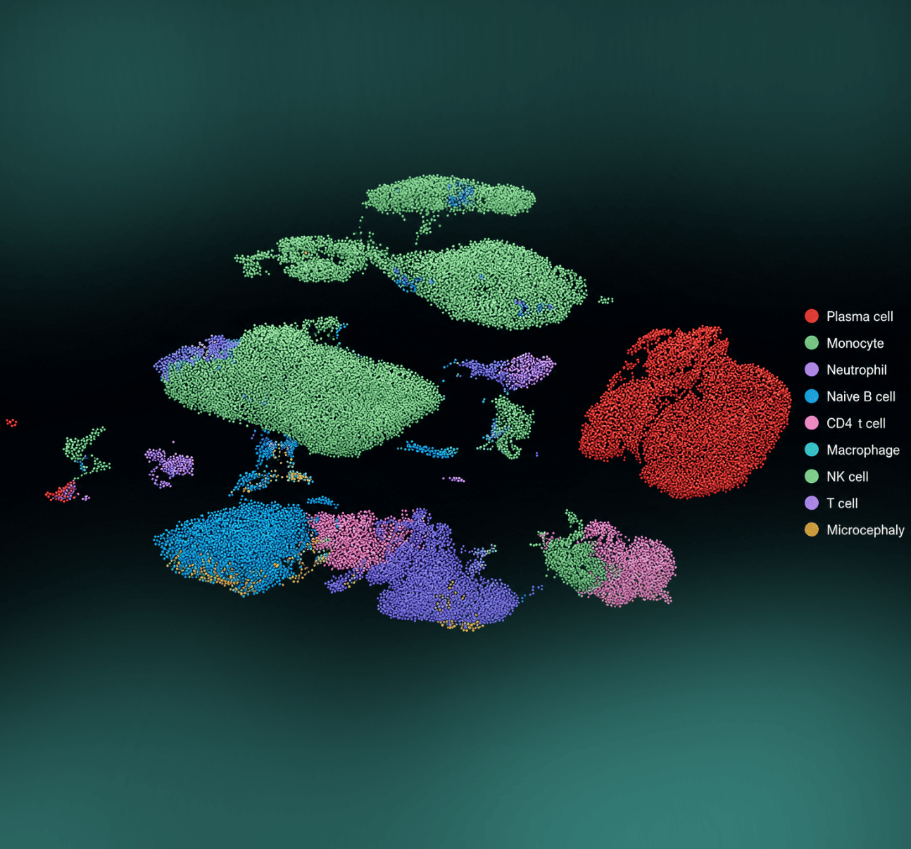Single-cell expression UMAP